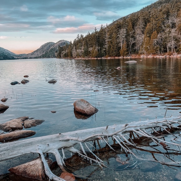 Meet your Posher, Renée - Picture 3 of 5